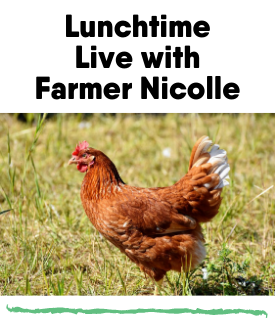 Lunchtime Live with Farmer Nicolle